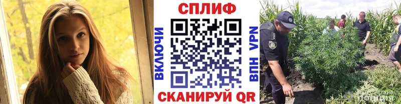 Купить закладки  Джанкой  Бошки марихуана семена 